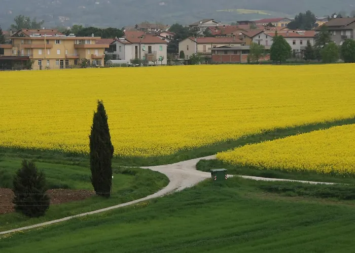 Bed and Breakfast Palazzo Santinelli SantʼAngelo in Vado Foto